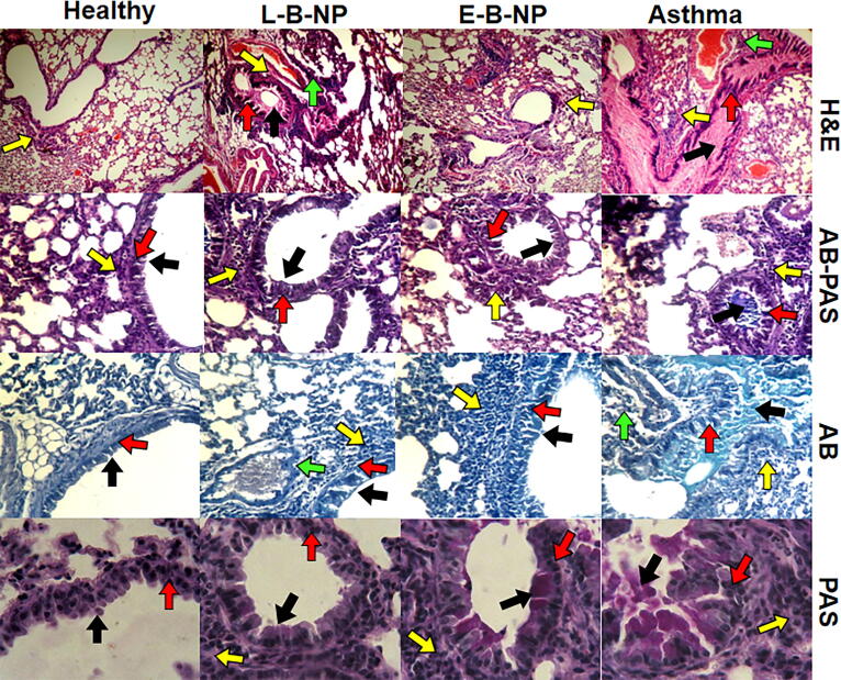 Fig. 7