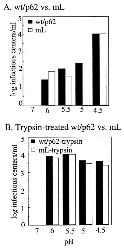 FIG. 6.