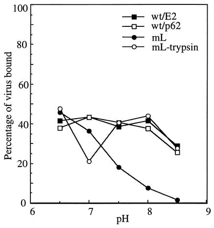 FIG. 5.