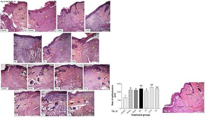 graphic file with name EJHS2806-0759Fig2.jpg