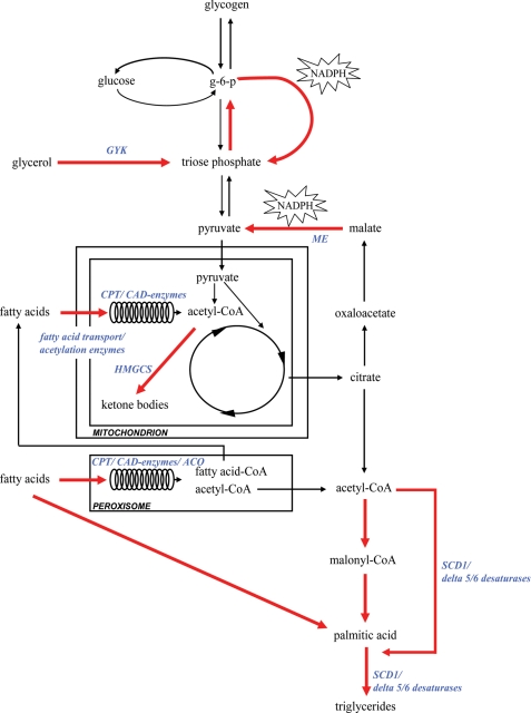 FIGURE 5.