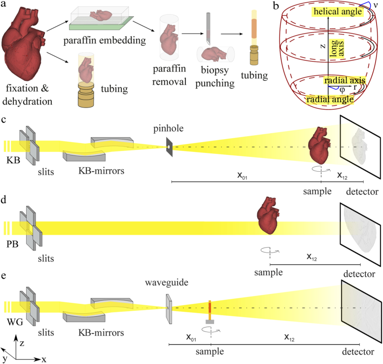 Fig. 1.