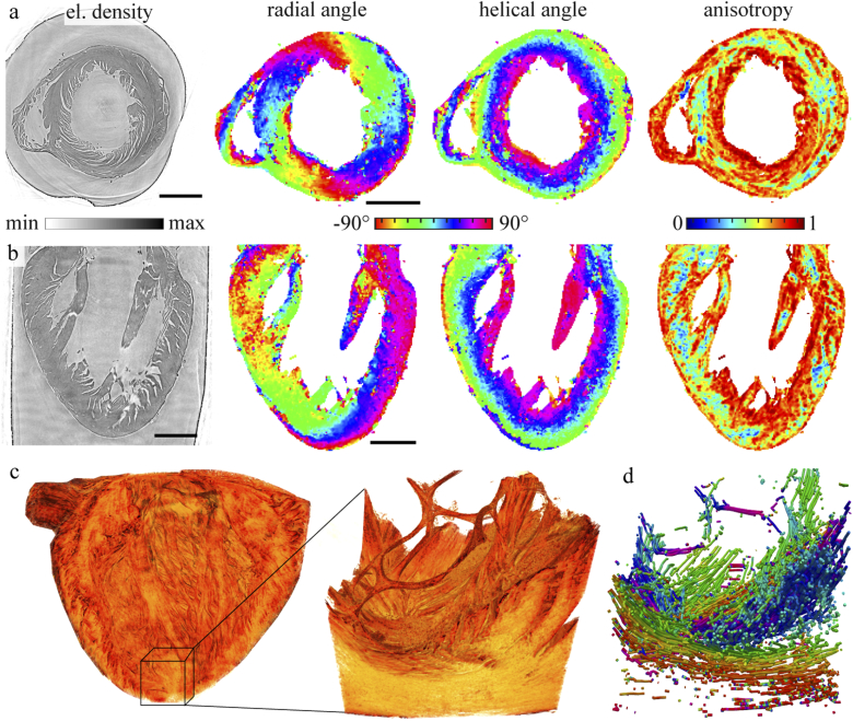 Fig. 4.