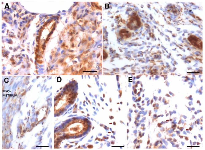 Fig. 10