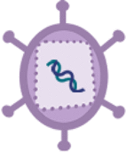 graphic file with name 41392_2023_1407_Tabc_HTML.gif