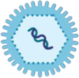 graphic file with name 41392_2023_1407_Taba_HTML.gif