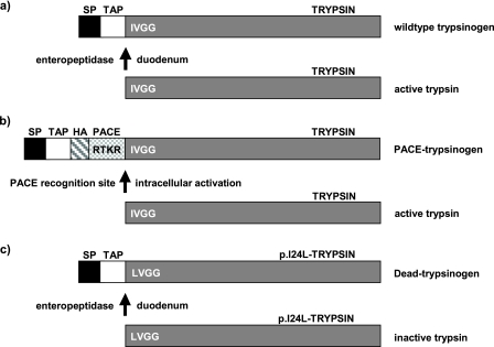 FIGURE 1.