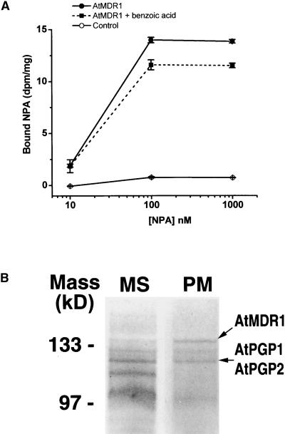 Figure 5.