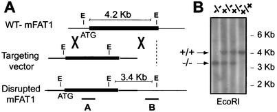 FIG. 1.