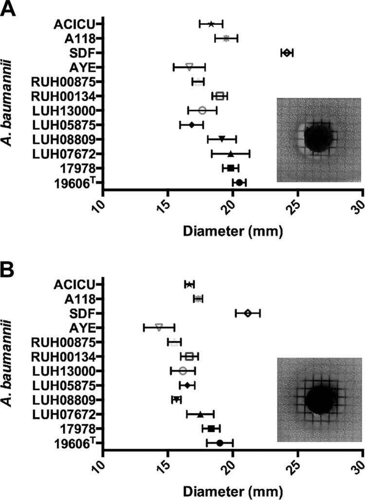 FIG 2