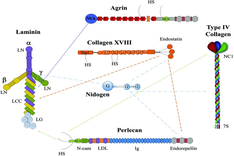 FIG. 2.