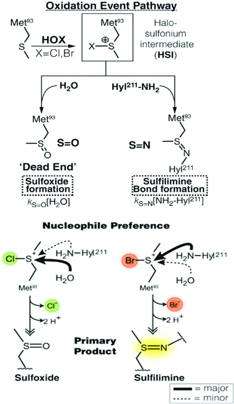 FIG. 6.