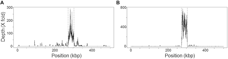 Figure 7.