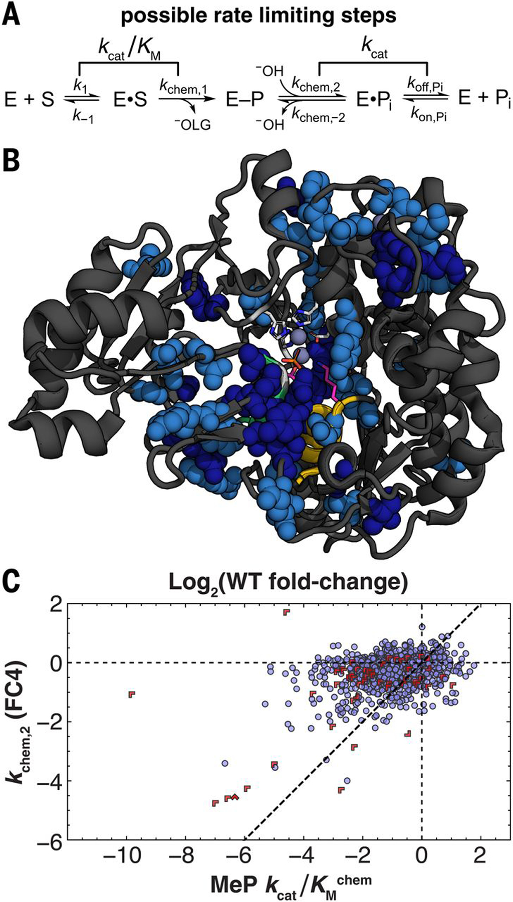 Fig. 7.