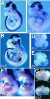 FIG. 4