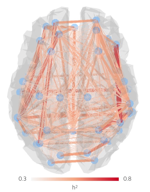 Figure 1—figure supplement 1.