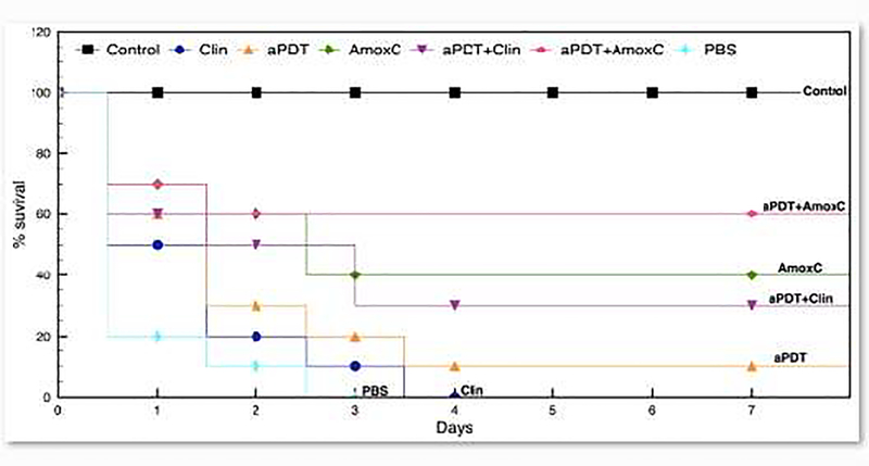 Figure 5: