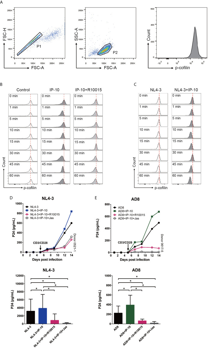 Figure 6