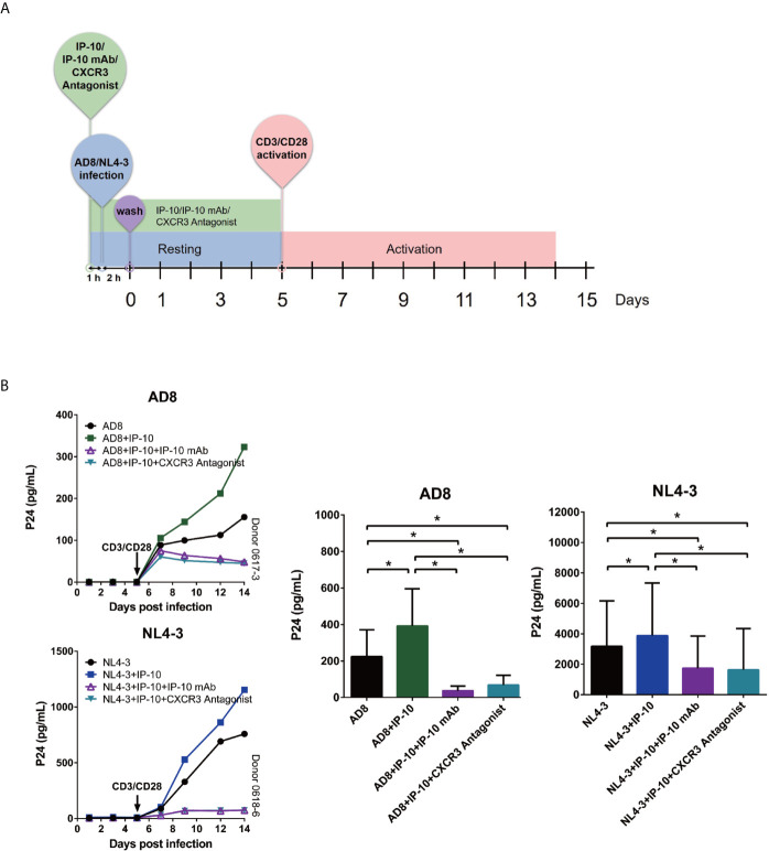 Figure 3