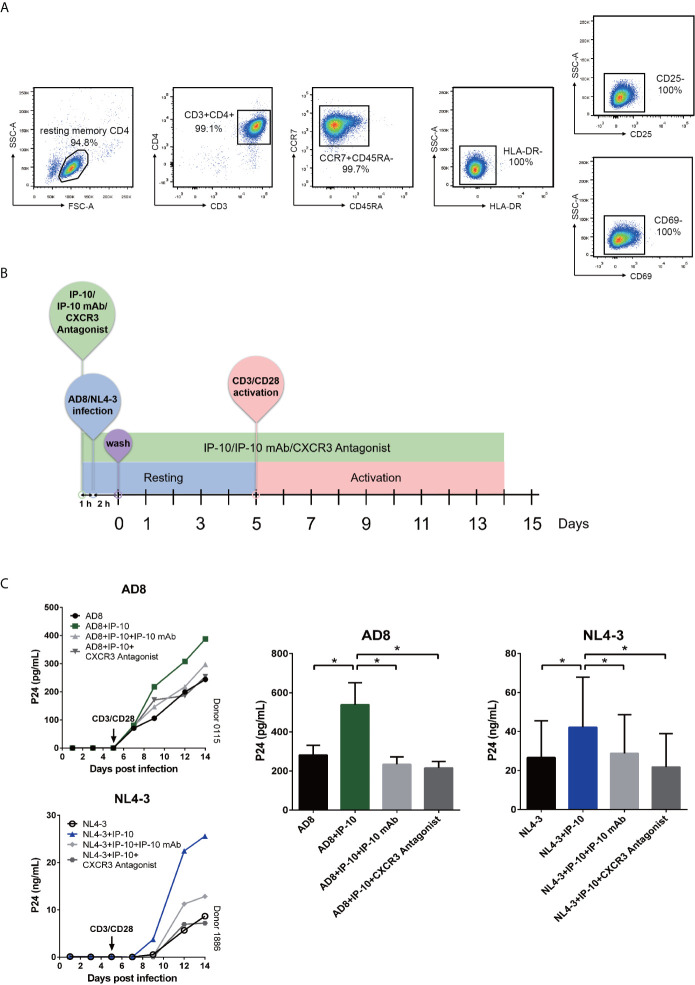 Figure 2