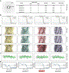 Figure 6)