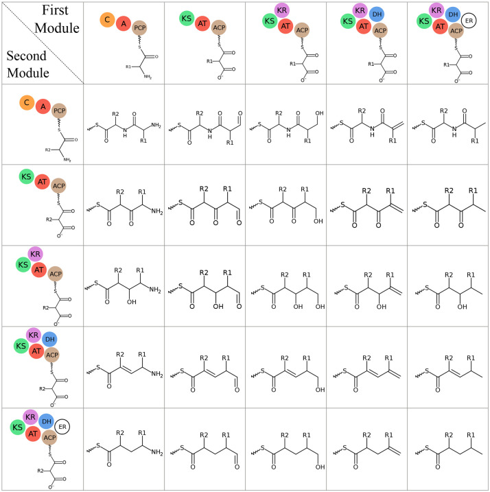 Fig. 21.