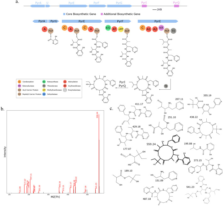 Fig. 12.