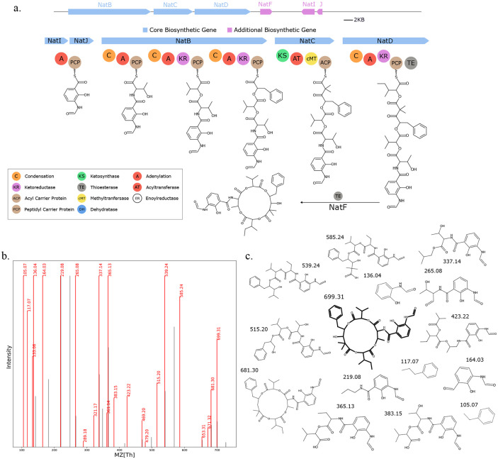 Fig. 13.