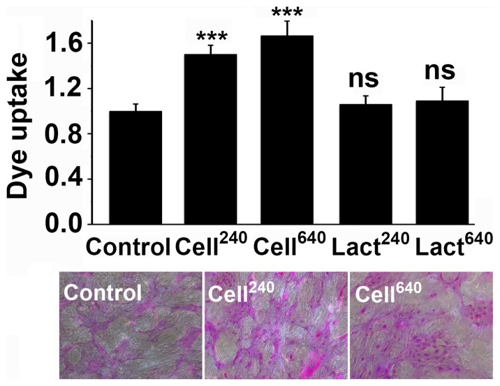 Figure 5