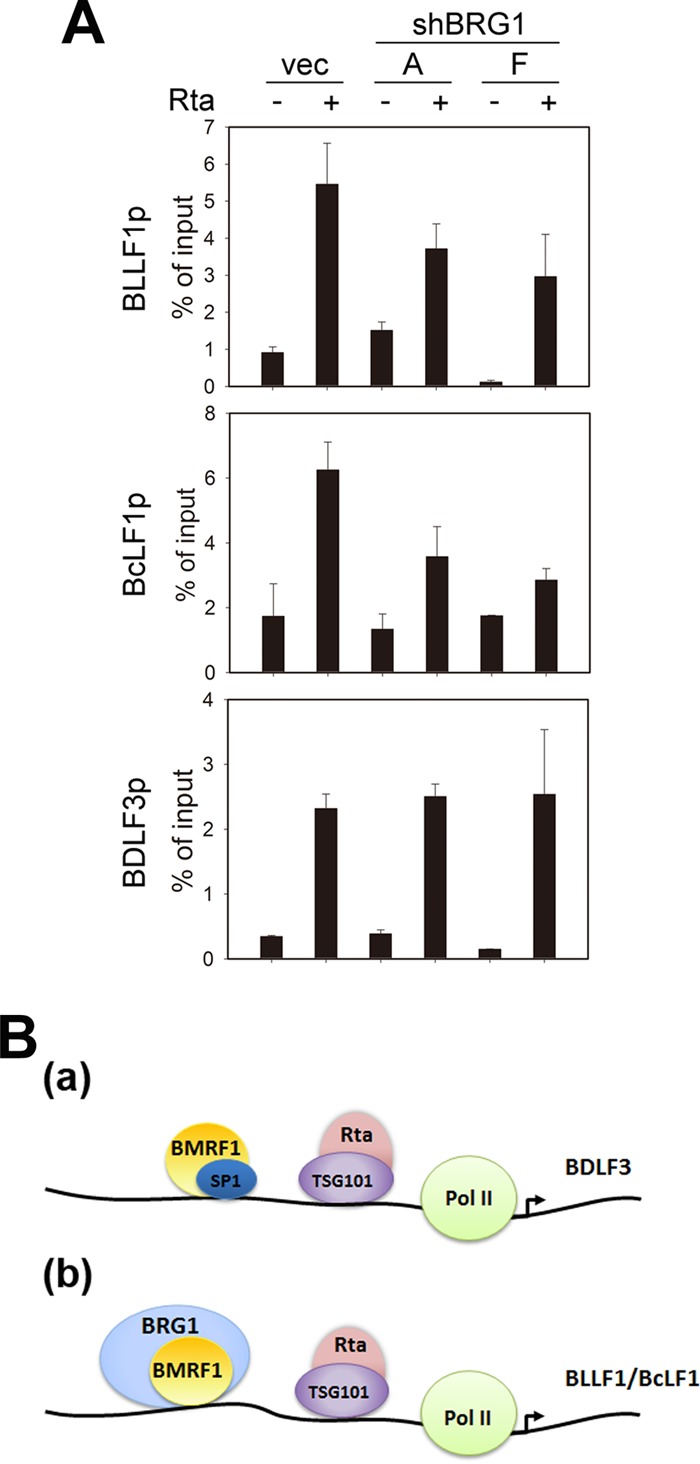 FIG 9