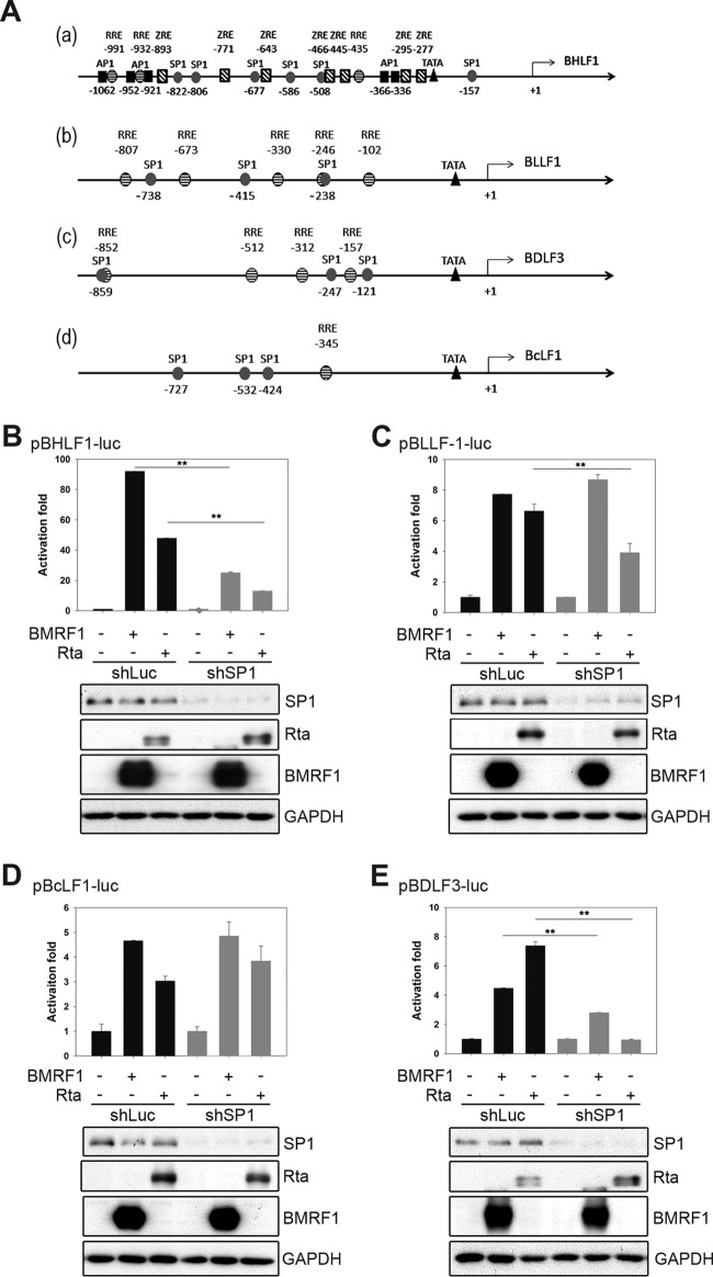 FIG 4