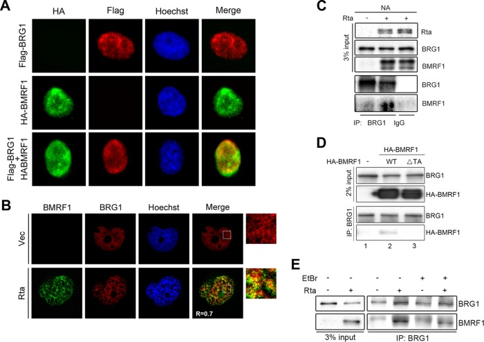 FIG 6