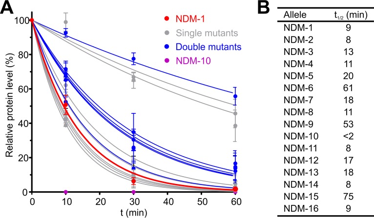FIG 3
