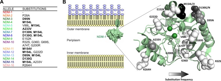 FIG 1