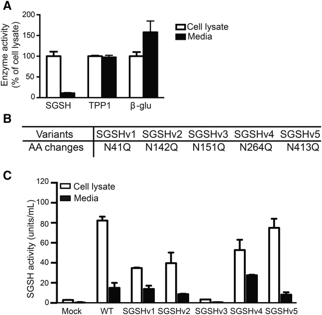 Figure 1