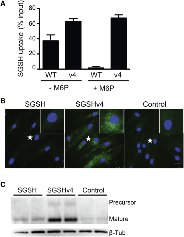 Figure 3