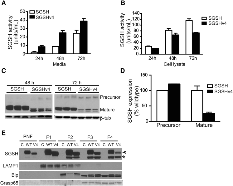 Figure 2