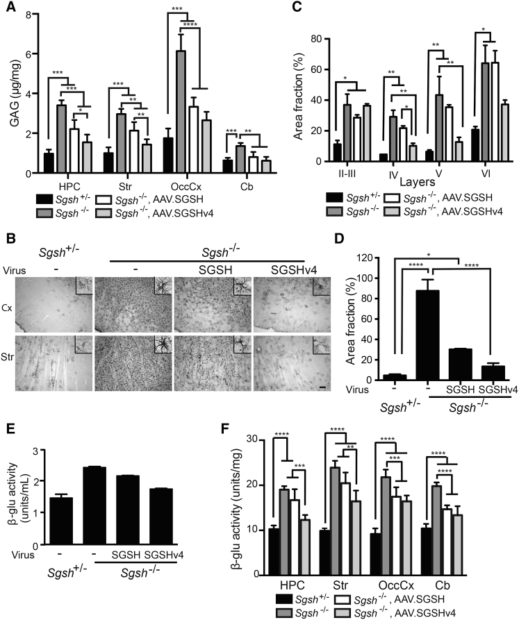 Figure 6