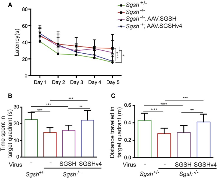 Figure 4