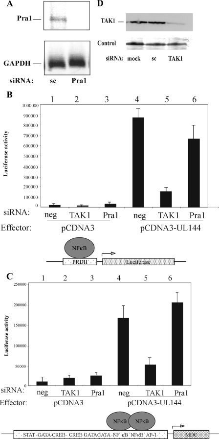 FIG. 1.