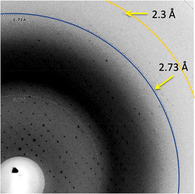 Fig. 3.