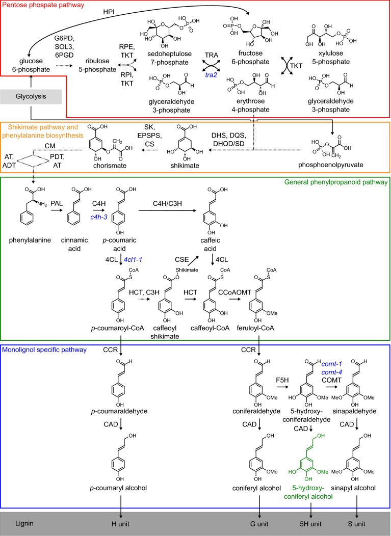 Fig. 1