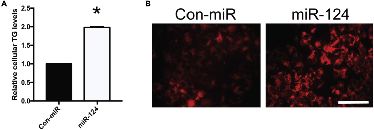 Figure 3