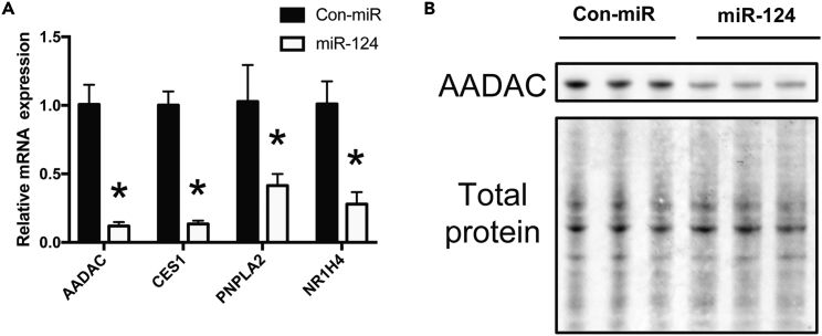 Figure 4