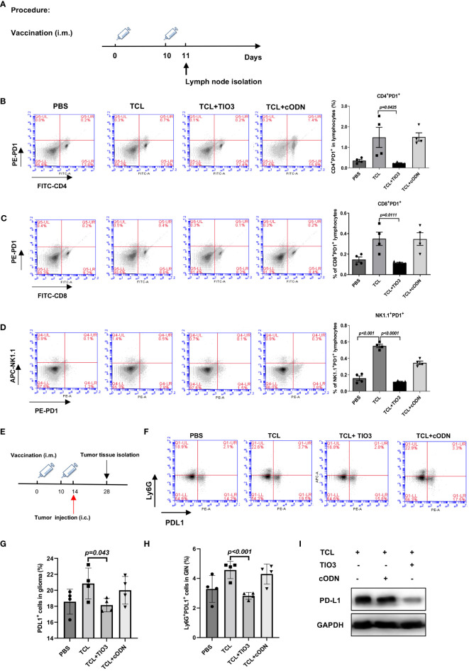 Figure 6