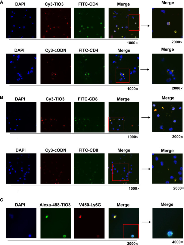 Figure 2