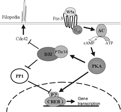 FIGURE 9.