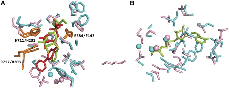 Figure 5.