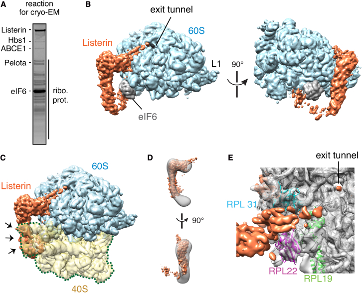 Figure 6