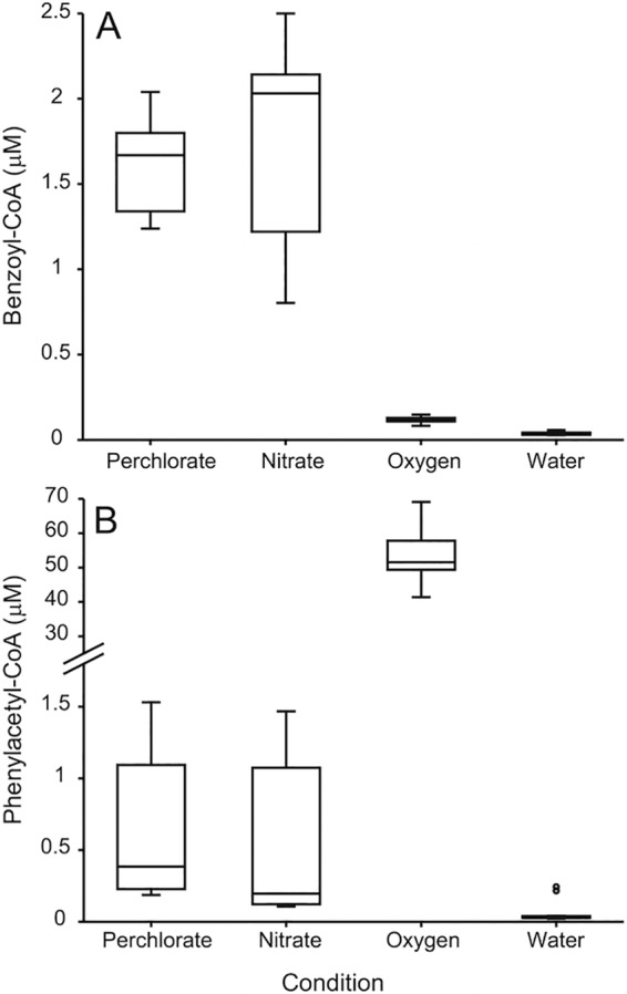 FIG 6 